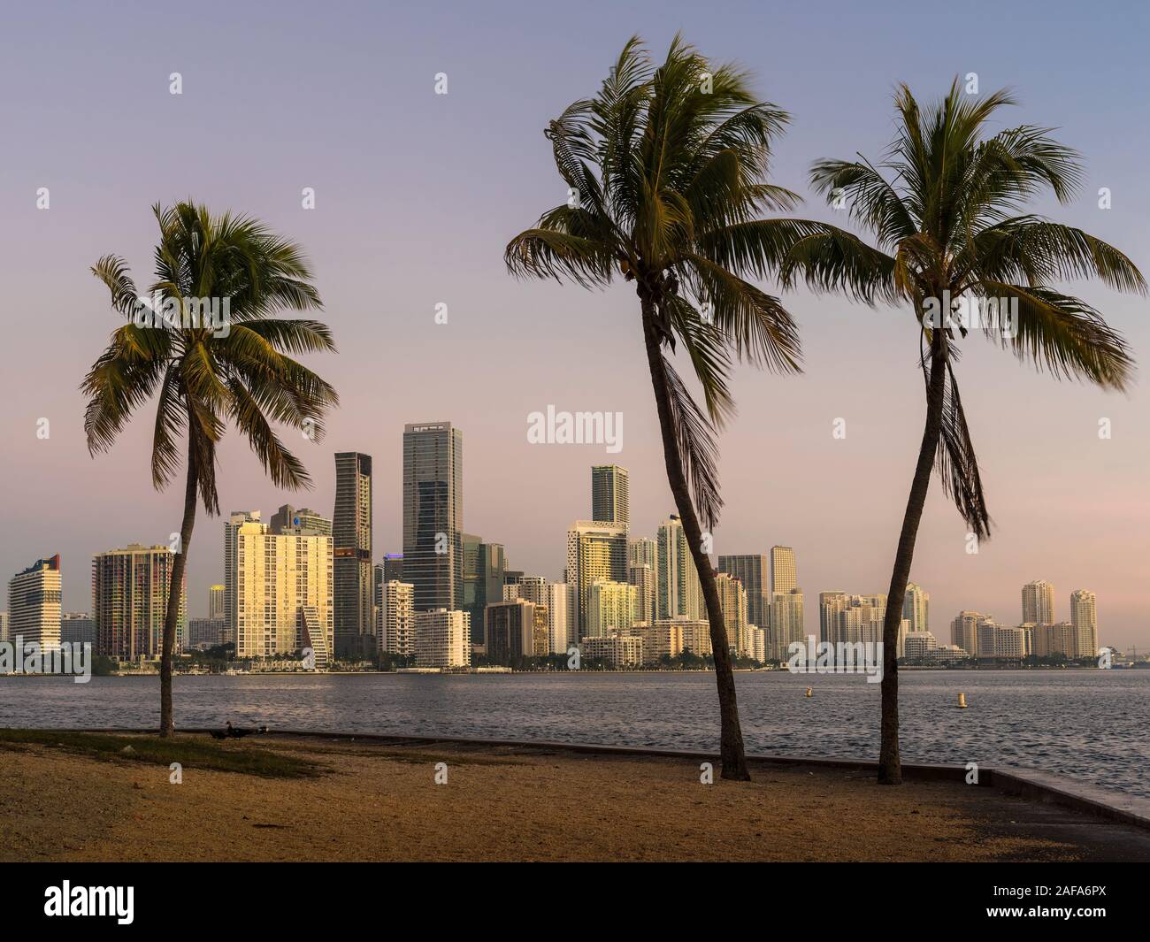 Brickell Ave Buildings. Miami. Florida. USA. Stock Photo