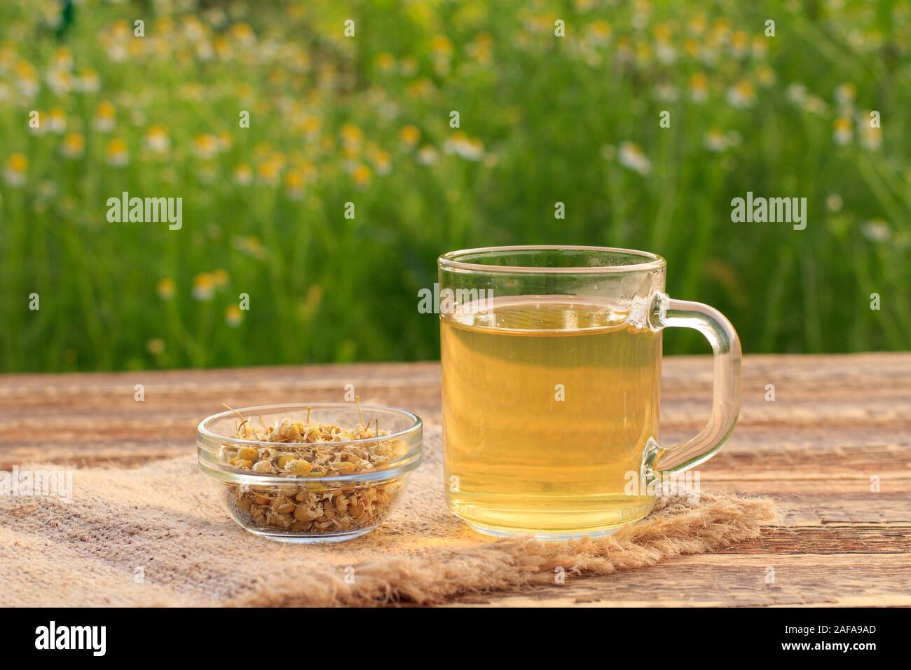 Cup of green tea and little glass bowl with dry flowers of matricaria ...