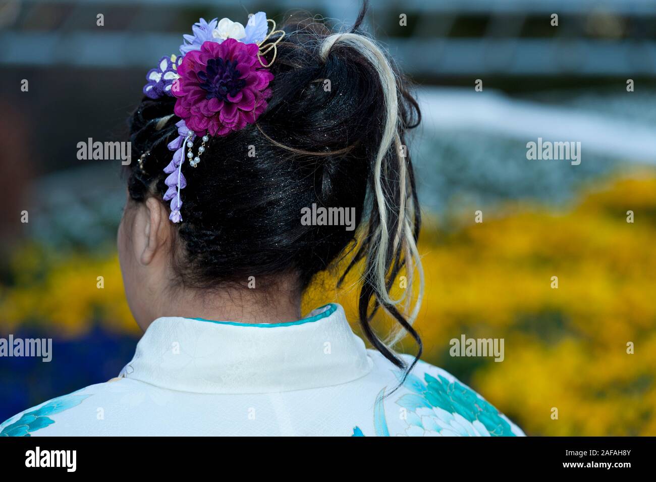 Beautiful Japanese teenager back wearing traditional kimono with close-up on hair ornament celebrating the Coming of Age Day in Fuji City, Japan. Back Stock Photo