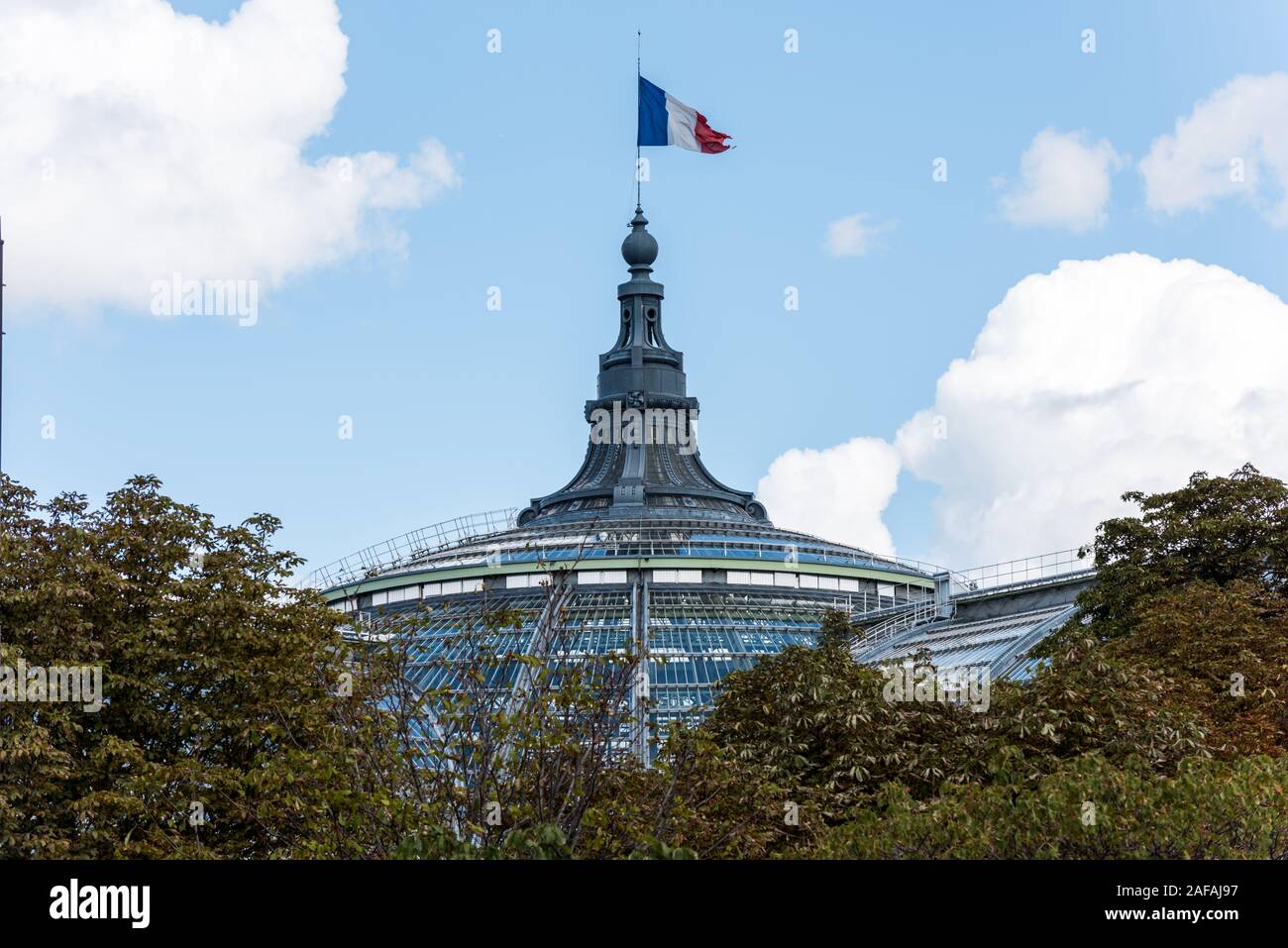 French National Flag On The Grand Palais On The Bank Of Seina