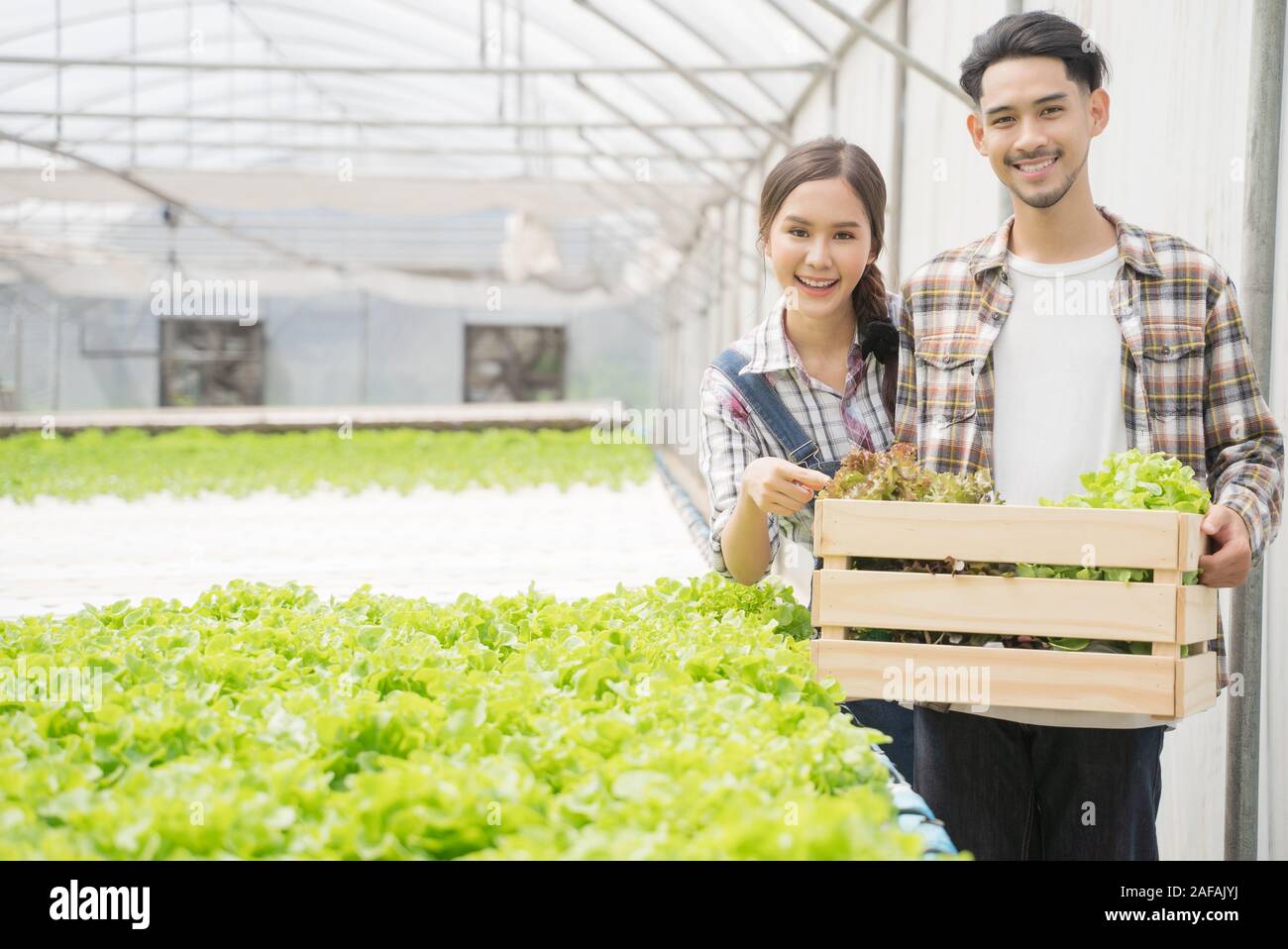 Asian young couple farmer in greenhouse hydroponic holding basket of ...