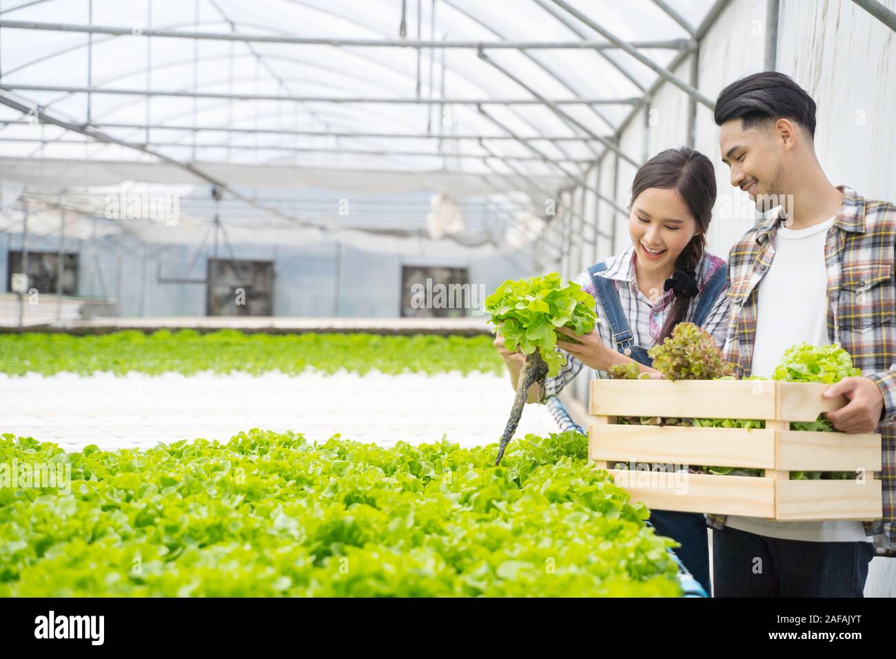 Asian young couple farmer in greenhouse hydroponic holding basket of ...