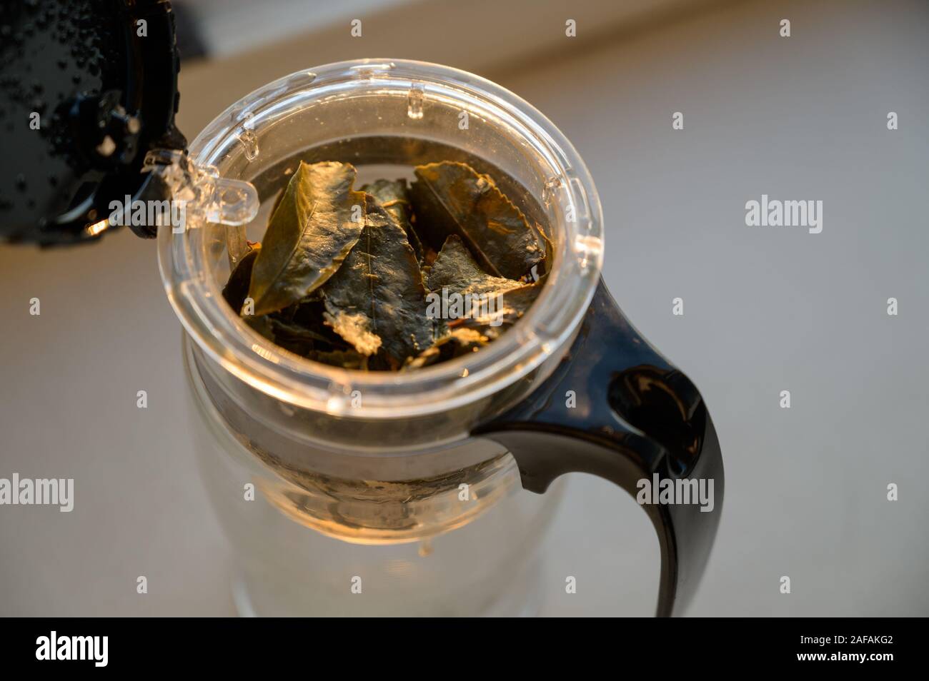 Authentic green tea leafs in plastic teapot Stock Photo Alamy