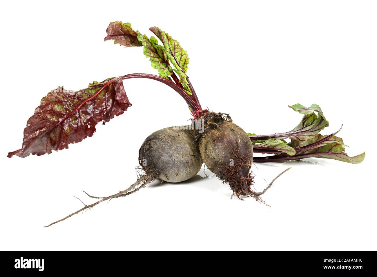 beetroot with leaves isolated on white background Stock Photo