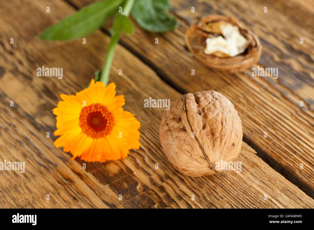 Close-up walnuts and calendula flower on wooden background. Shallow depth of field. Stock Photo