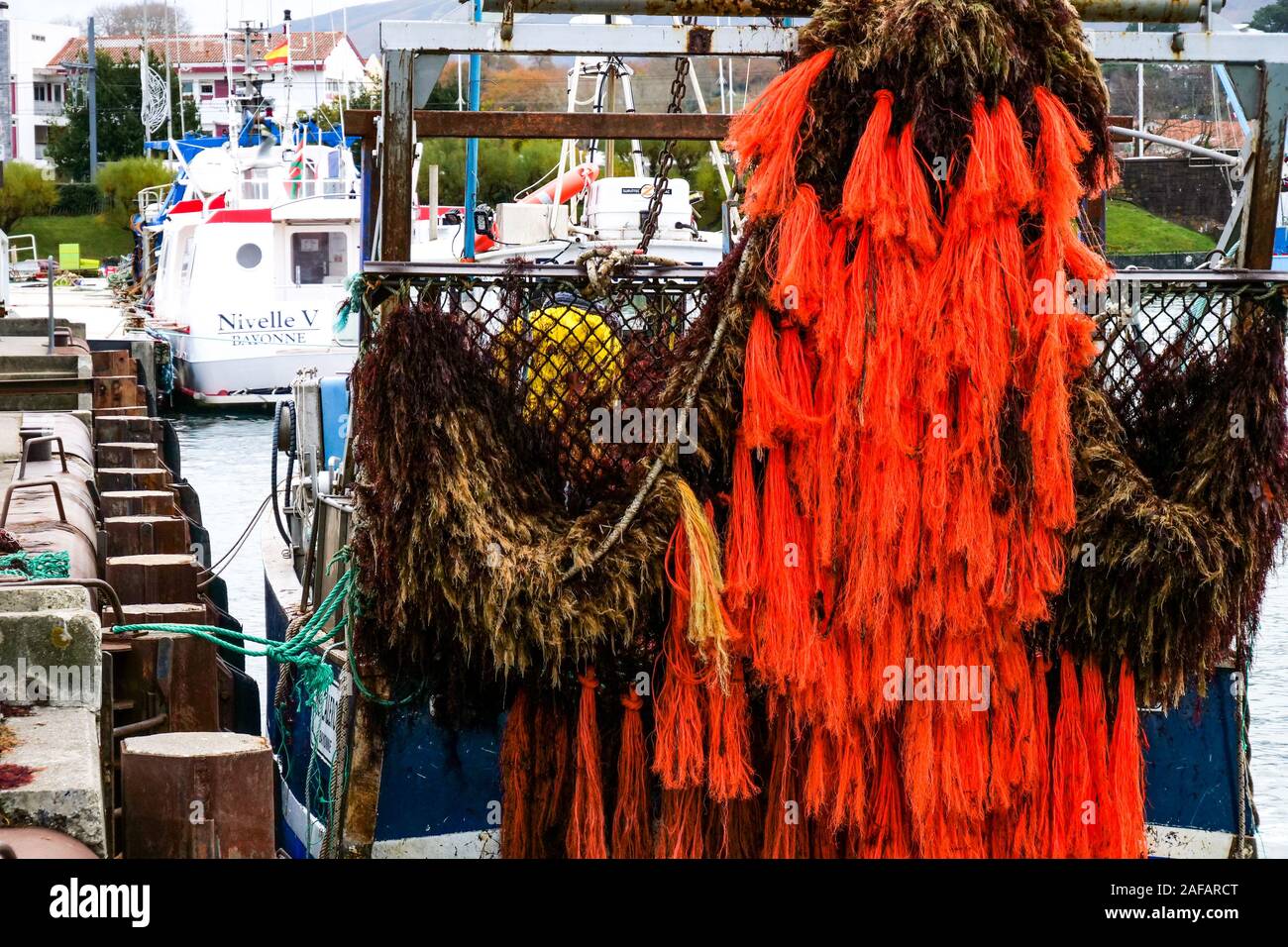 Unloading red algae, fishing harbor of Saint-Jean de Luz, Pyrénées-Atlantiques, France Stock Photo