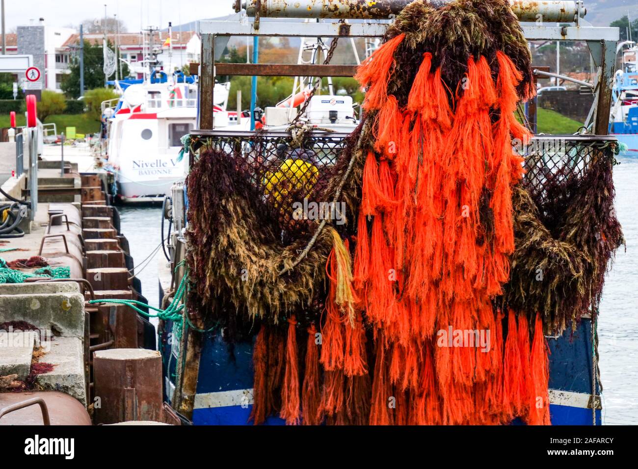 Unloading red algae, fishing harbor of Saint-Jean de Luz, Pyrénées-Atlantiques, France Stock Photo