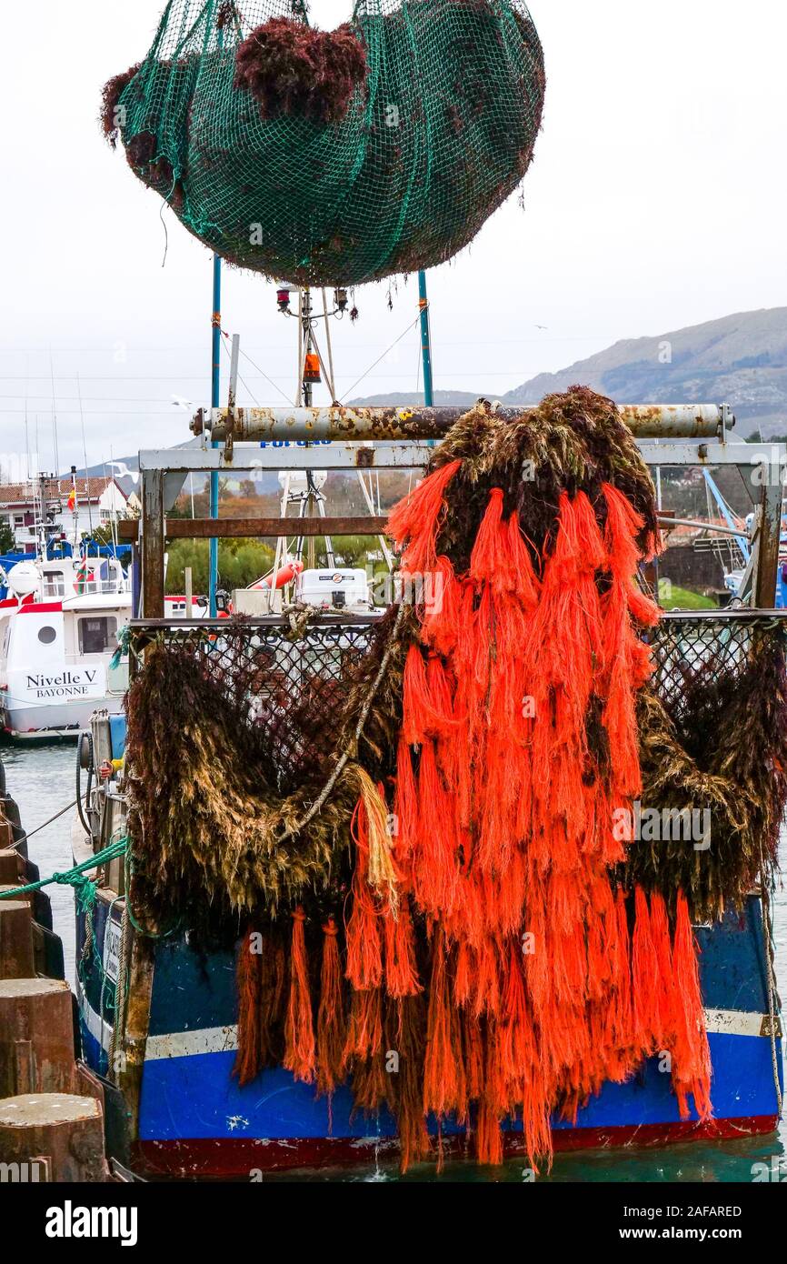 Unloading red algae, fishing harbor of Saint-Jean de Luz, Pyrénées-Atlantiques, France Stock Photo
