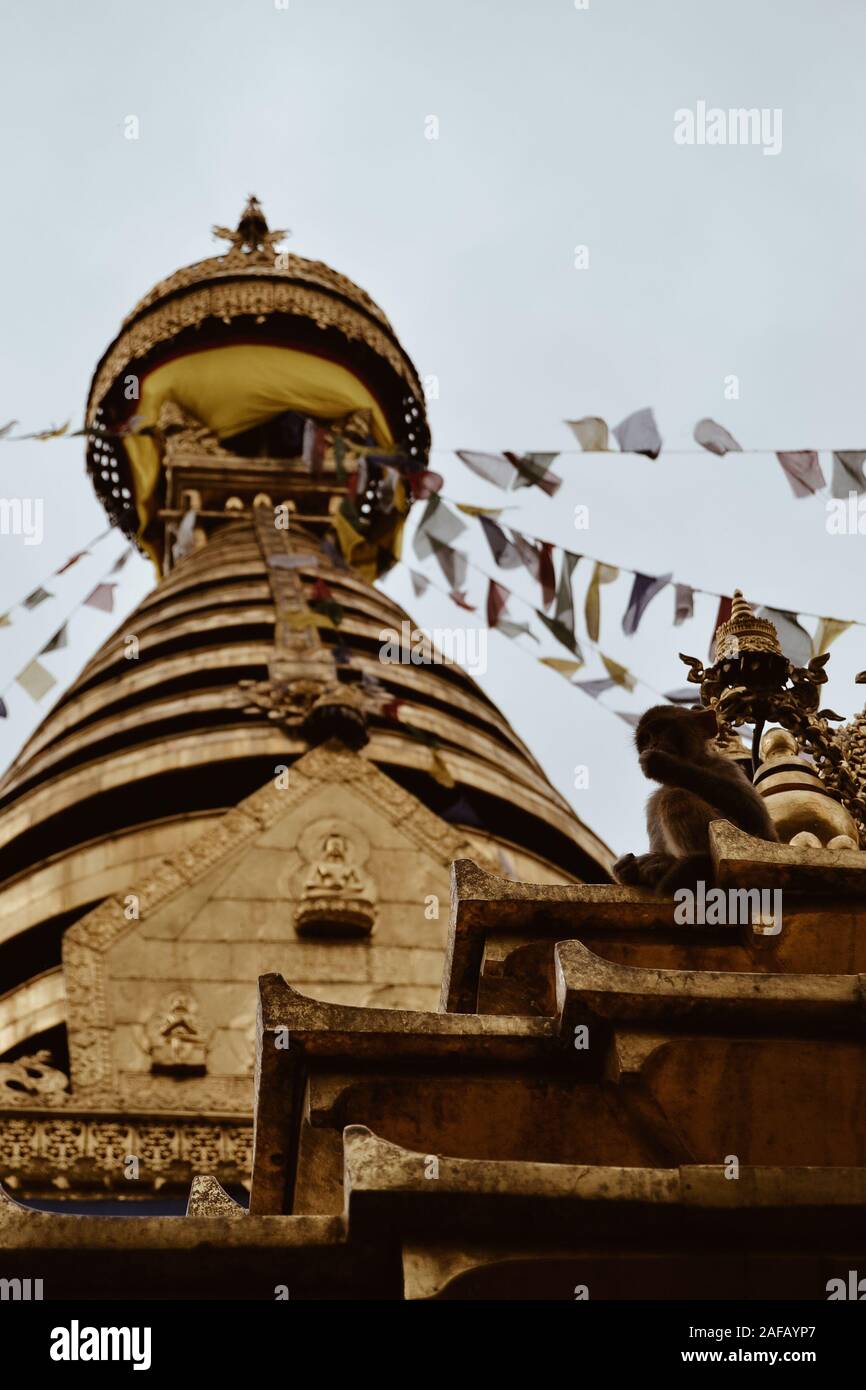 Monkeys in the Monkey Temple or Swayambhunath Stupa Stock Photo - Alamy