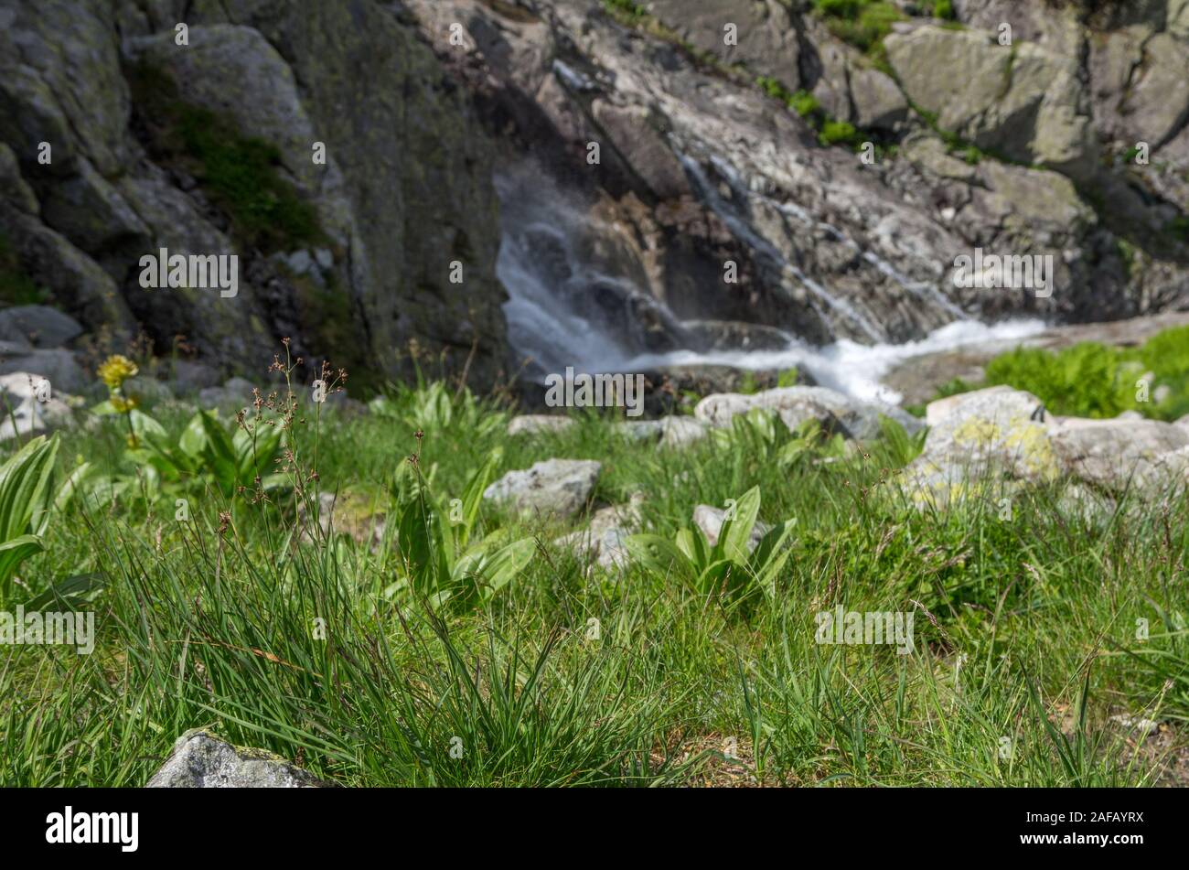 Mountain waterfall Siklawa in Polish Tatra Mountains. Tatra National Park Stock Photo