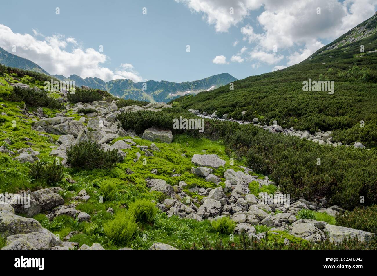 Mountain waterfall Siklawa in Polish Tatra Mountains. Tatra National Park Stock Photo