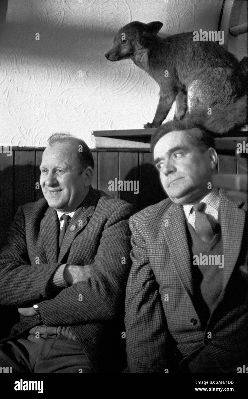 Taxidermied fox as pub decoration 1960s UK. Village pub two men chatting at the Gate Inn. Ratcliffe Culey Leicestershire England 1968 UK HOMER SYKES Stock Photo