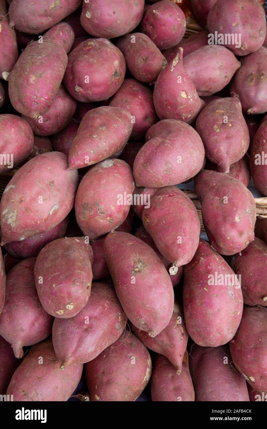 A pile of sweet potatoes for sale at a farmers market Stock Photo Alamy