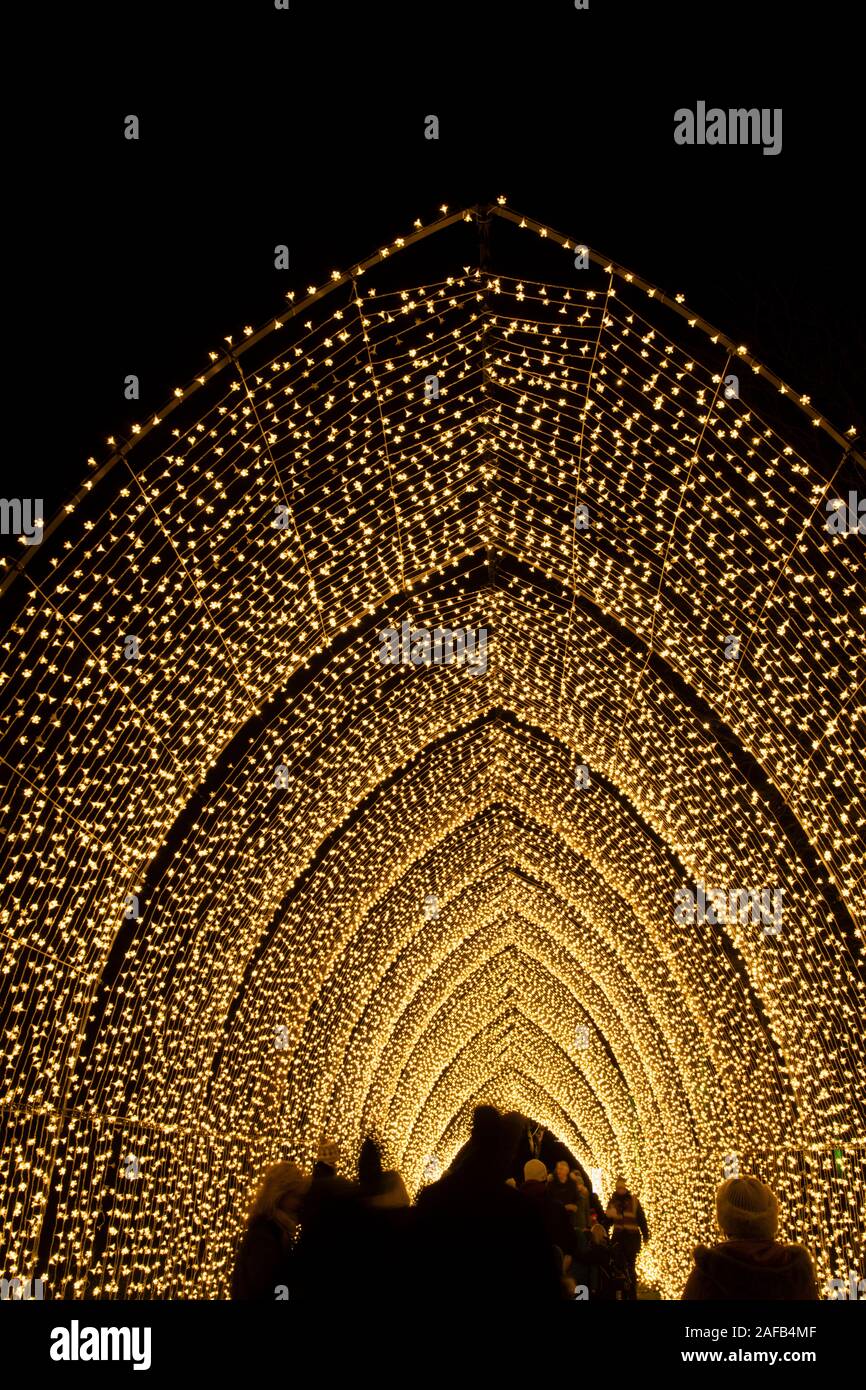 The Cathedral of Light at the 2019 Christmas Light display at Kew