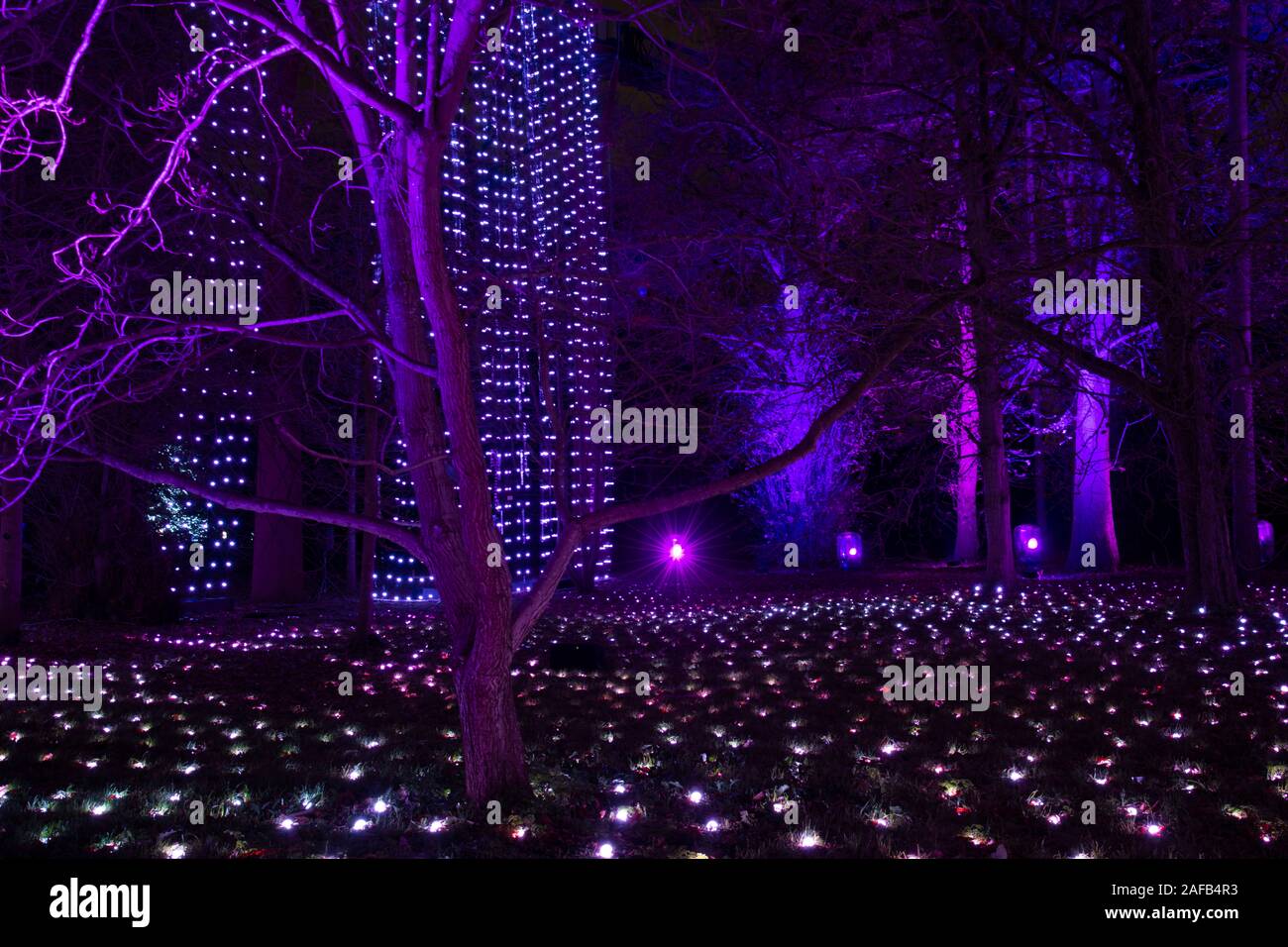 A waterfall of lights and colourfully lit trees at the 2019 Kew