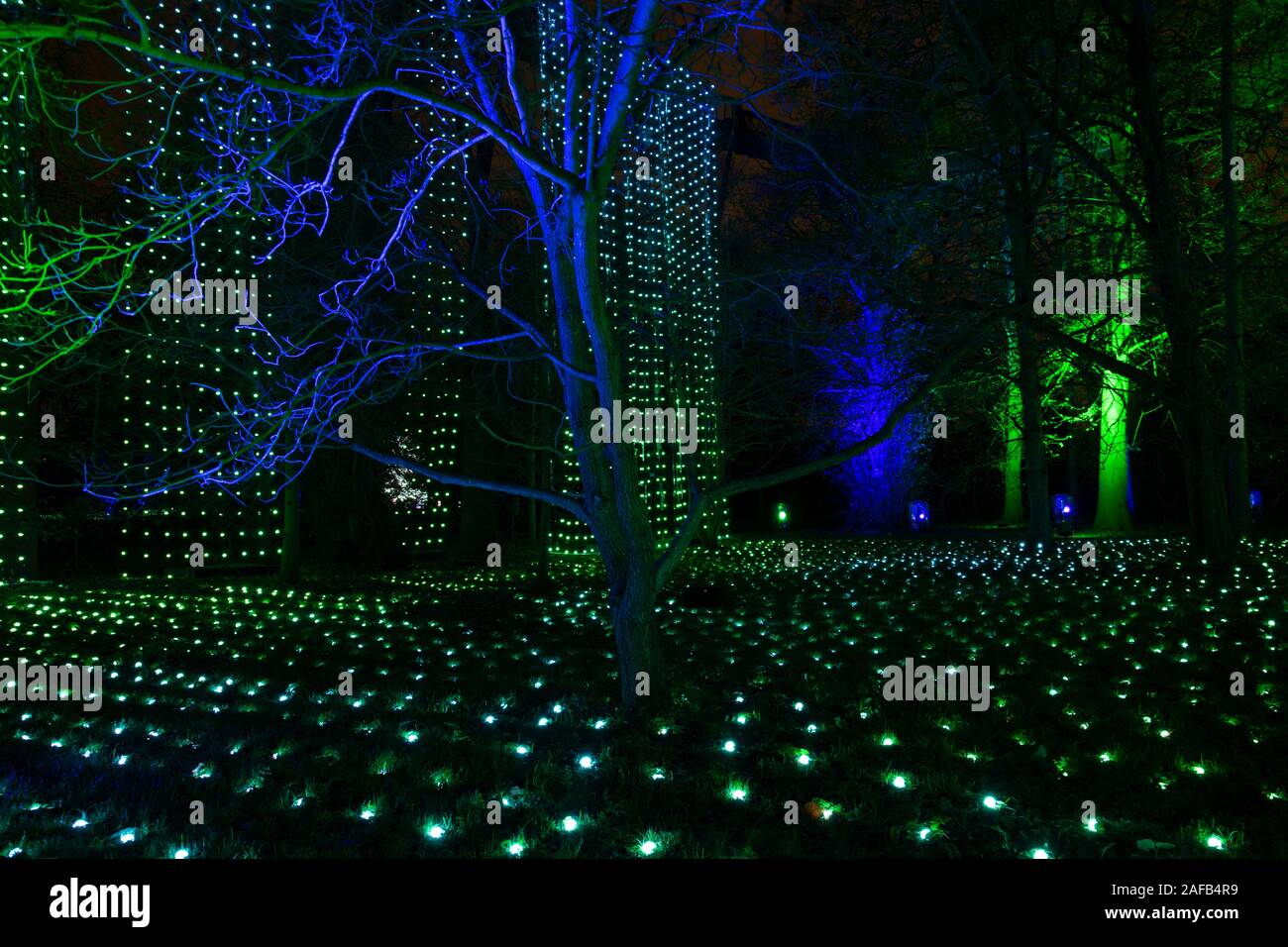 A waterfall of lights and colourfully lit trees at the 2019 Kew