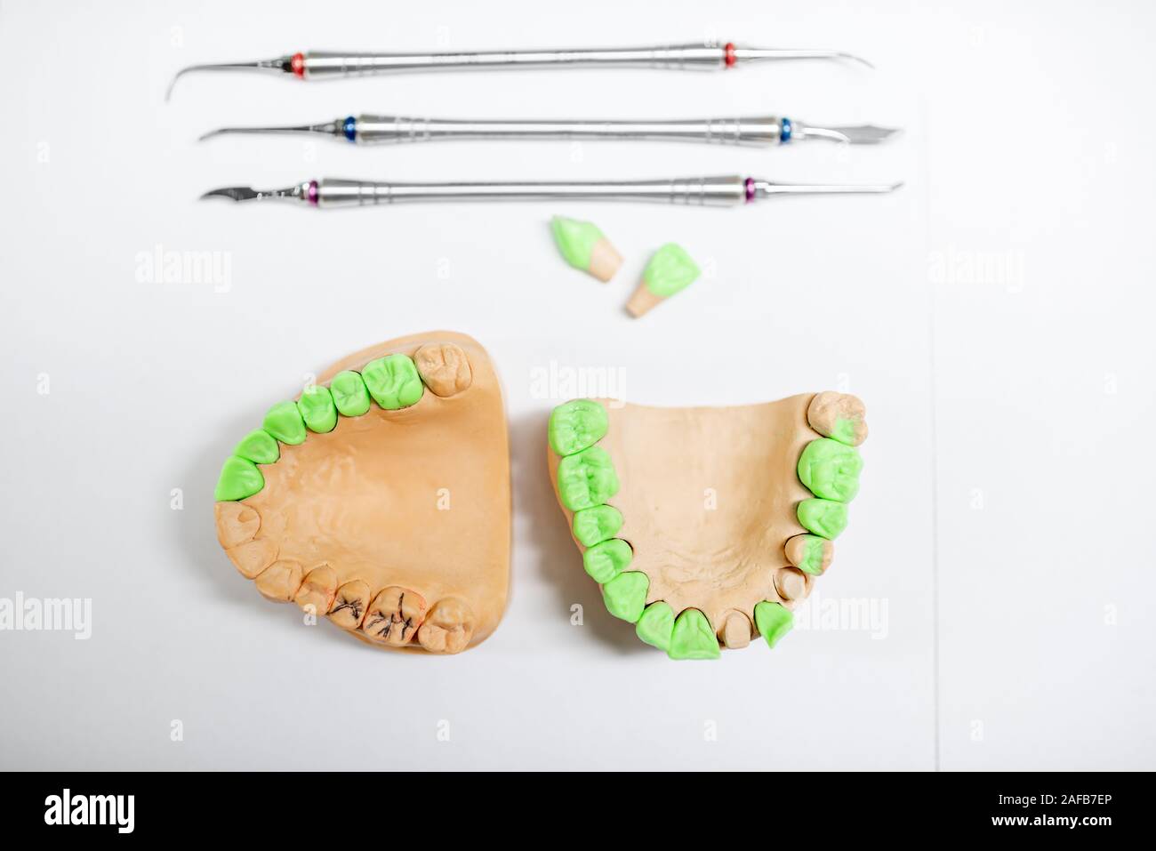Plaster models of artificial jaw with teeth painted in green and dental ...