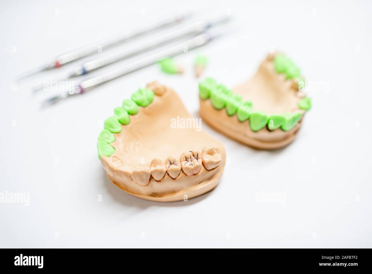 Plaster models of artificial jaw with teeth painted in green and dental ...