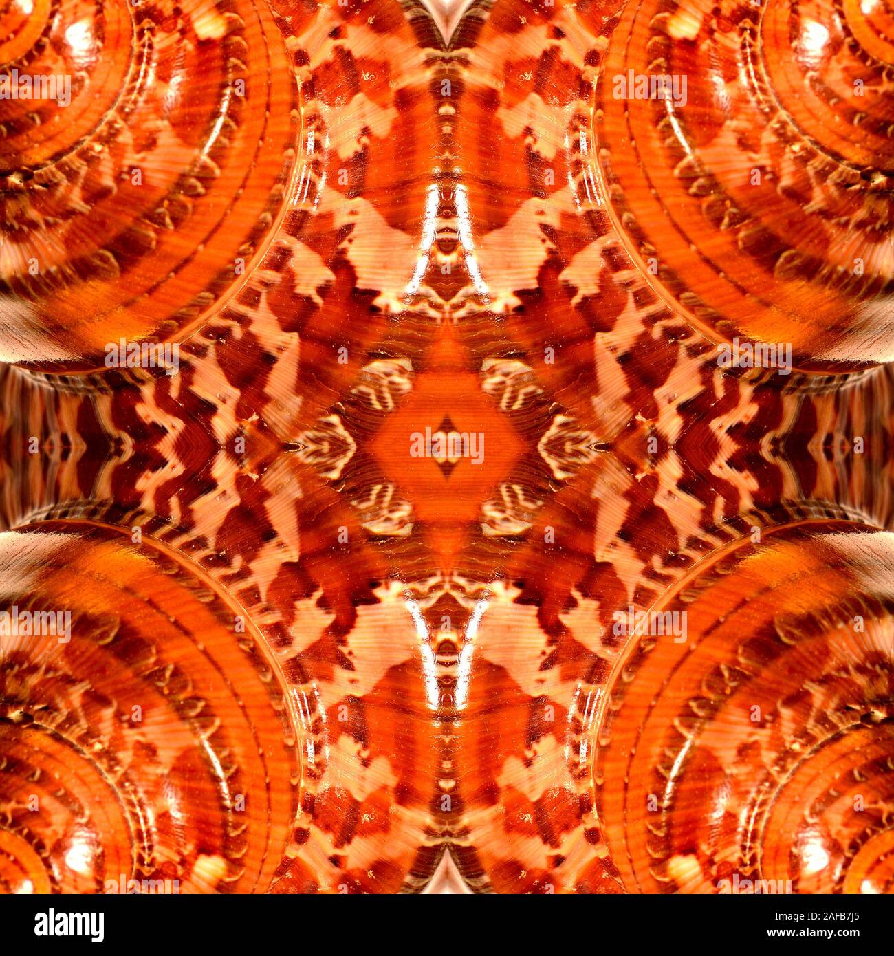 Natural Design High Resolution Stock Photography And Images Alamy Natural Design High Resolution Stock Photography And Images Alamy