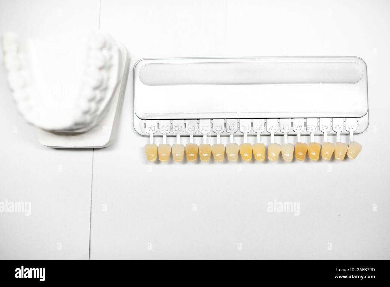 Set of veneers for tone selection and gypsum jaw on the white