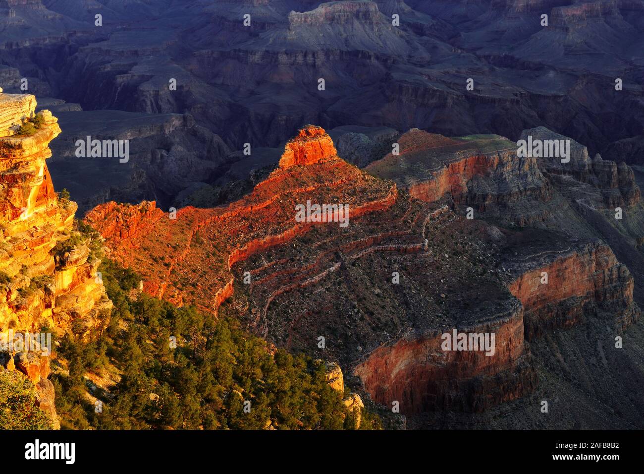 Sonnenaufgang Yaki Point, Grand Canyon South Rim, Sued Rand, Arizona, Suedwesten, USA Stock Photo