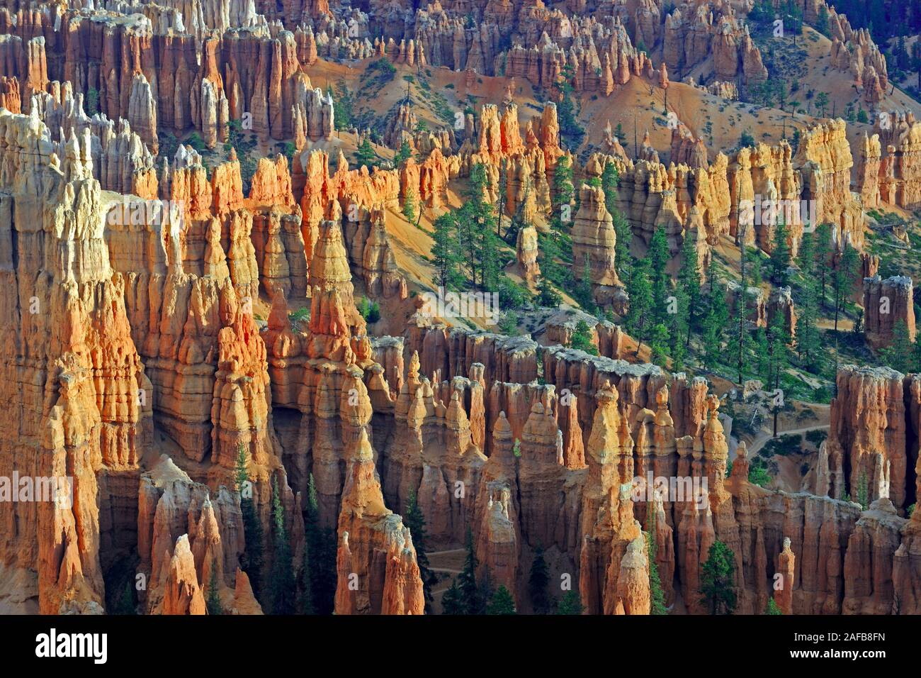 Felsformationen und Hoodoos, Bryce Canyon bei Sonnenaufgang, Bryce Point, Utah, Suedwesten, USA Stock Photo
