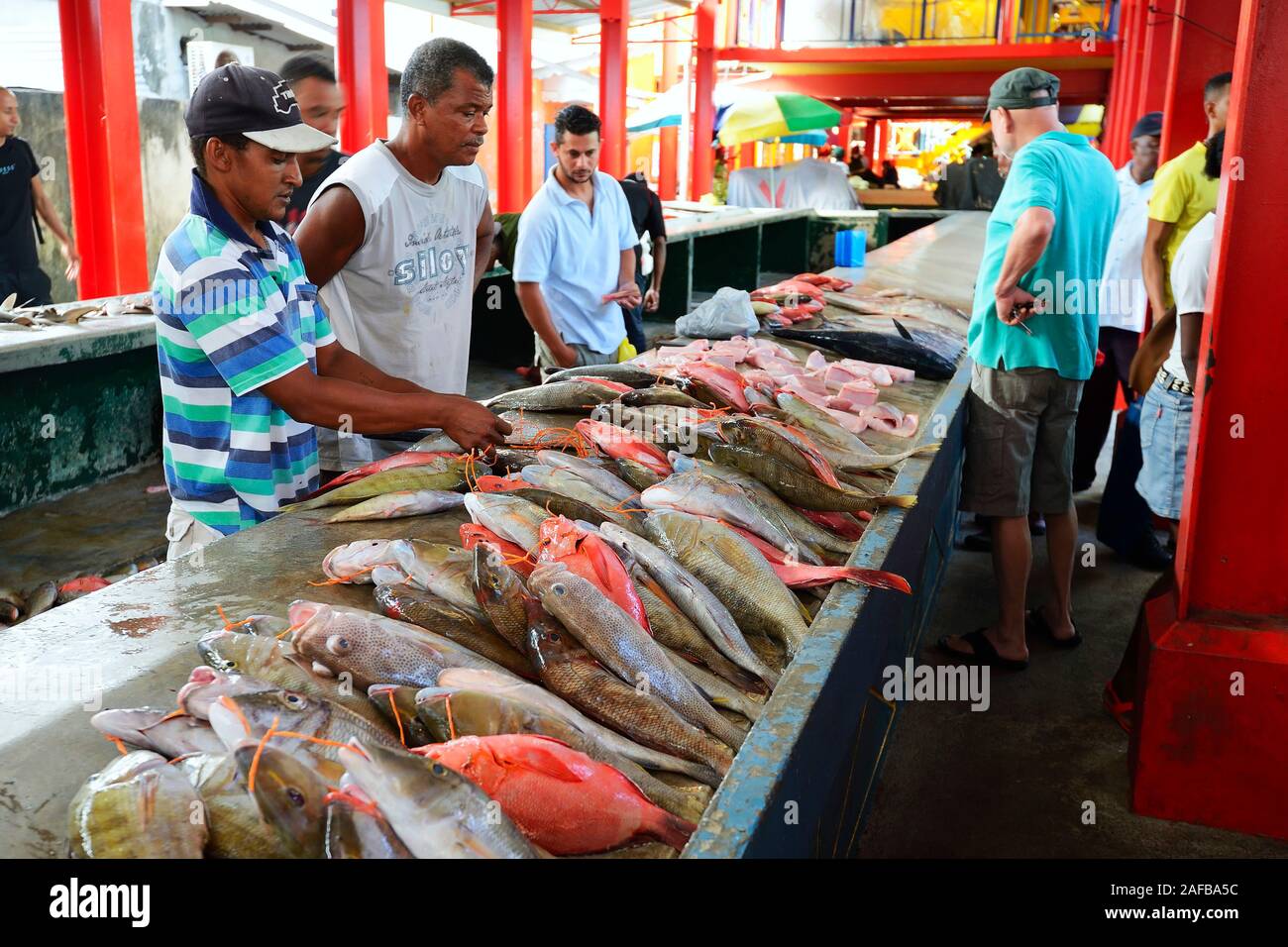 Frisch gefangene Fische zum Verkauf, Fischmarkt im Sir Selwyn Selwyn-Clarke Markt, Victoria, Insel Mahe, Seychellen               Frisch gefangene Fis Stock Photo