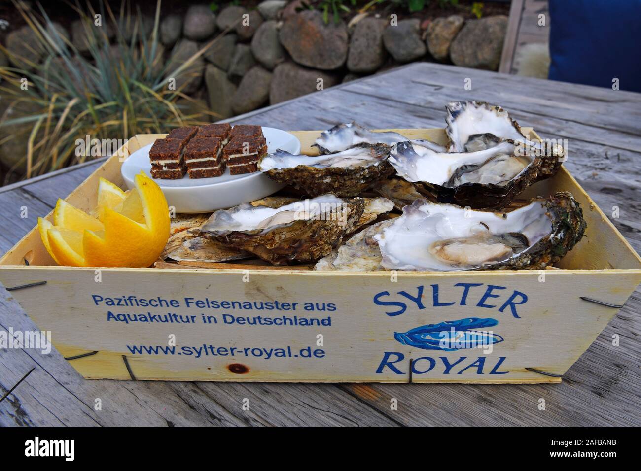 6 frische Austern, Sylter Royal,  serviert im traditionellen Spankorb, Sylt, nordfriesische Inseln, Nordfriesland, Schleswig-Holstein, Deutschland Stock Photo