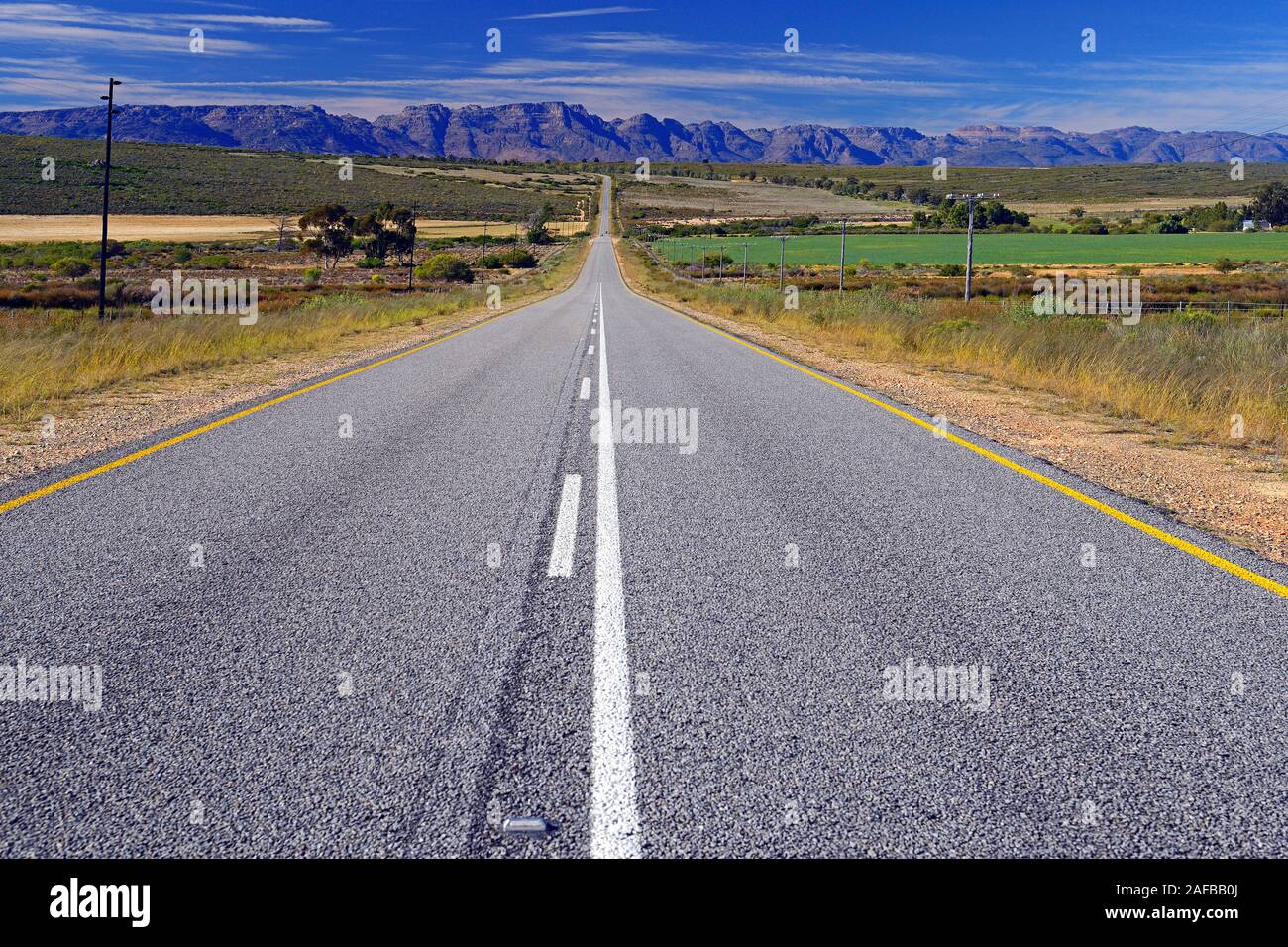 Strasse R364 zwischen Lamberts Bay und Clanwilliam, im Hintergrund die Cederberge,  West Kap, Western Cape, Suedafrika, Afrika Stock Photo