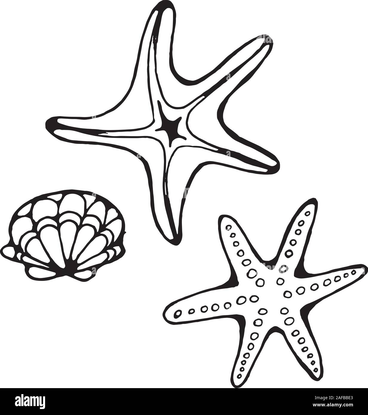 Starfish Tattoo Design Variations Ideas And Meanings