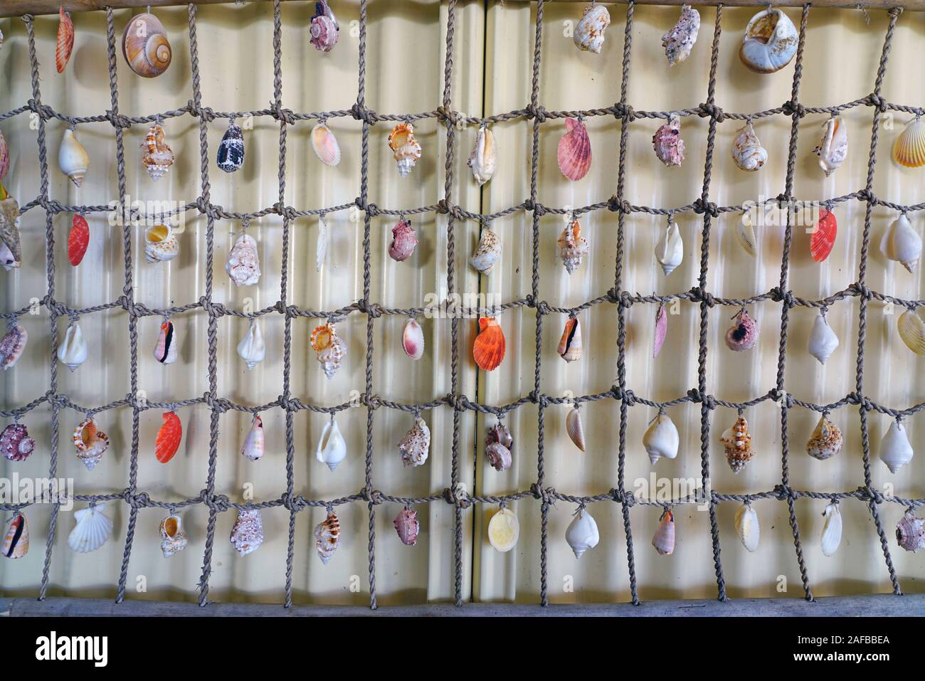 Hanging shells hi-res stock photography and images - Alamy