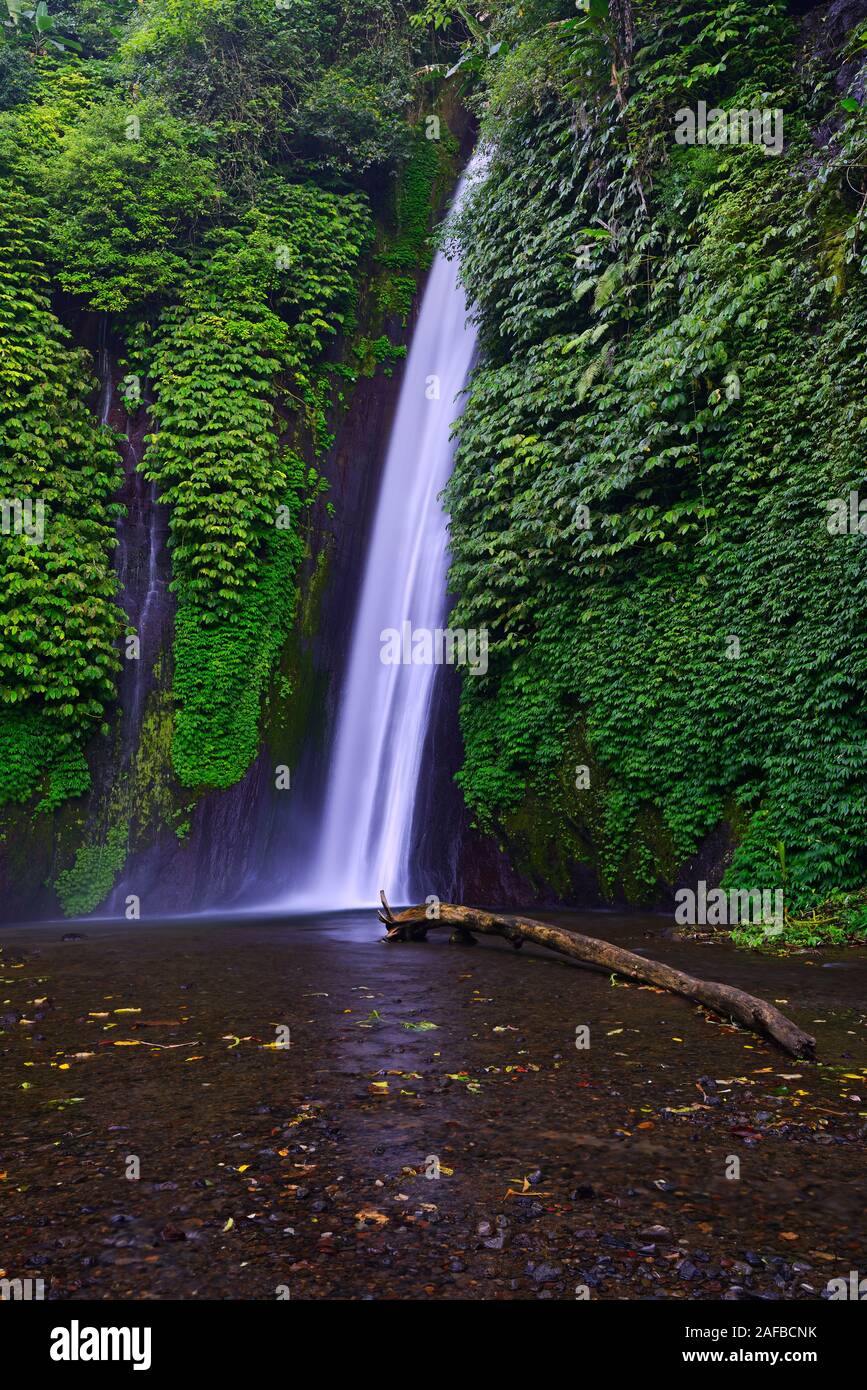 Wasserfall von  Munduk, Bali, Indonesien Stock Photo