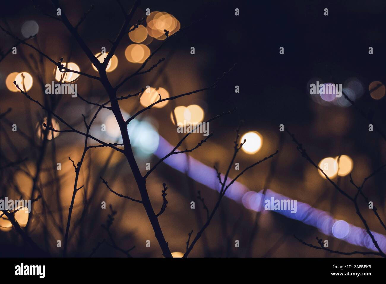 Abstract bokeh and lights out of focus behind tree branches in the city. Stock Photo