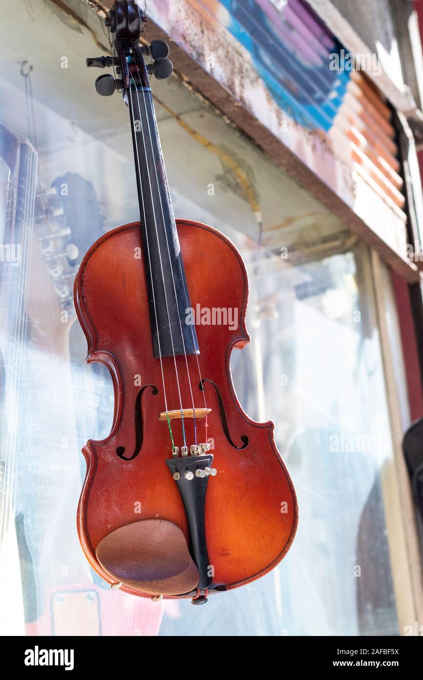 A number of violins hanging on the wall in the store Stock Photo Alamy