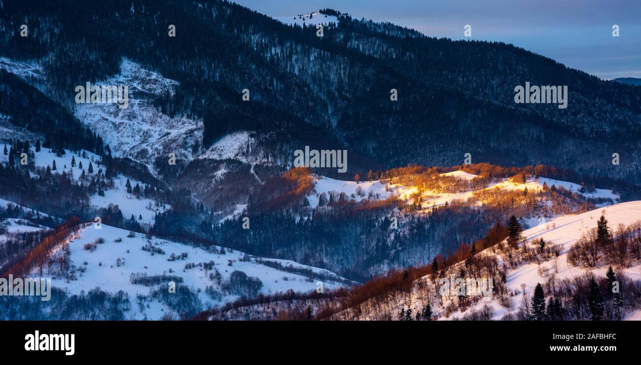winter countryside scenery at dawn. landscape with spot of first light on snow covered hill. dark coniferous distant forest in shade of the mountain. Stock Photo