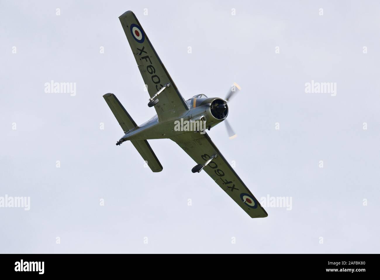 Percival Provost T.1 XF603 performing at the Shuttleworth Flying Festival on the 2nd June 2019 Stock Photo