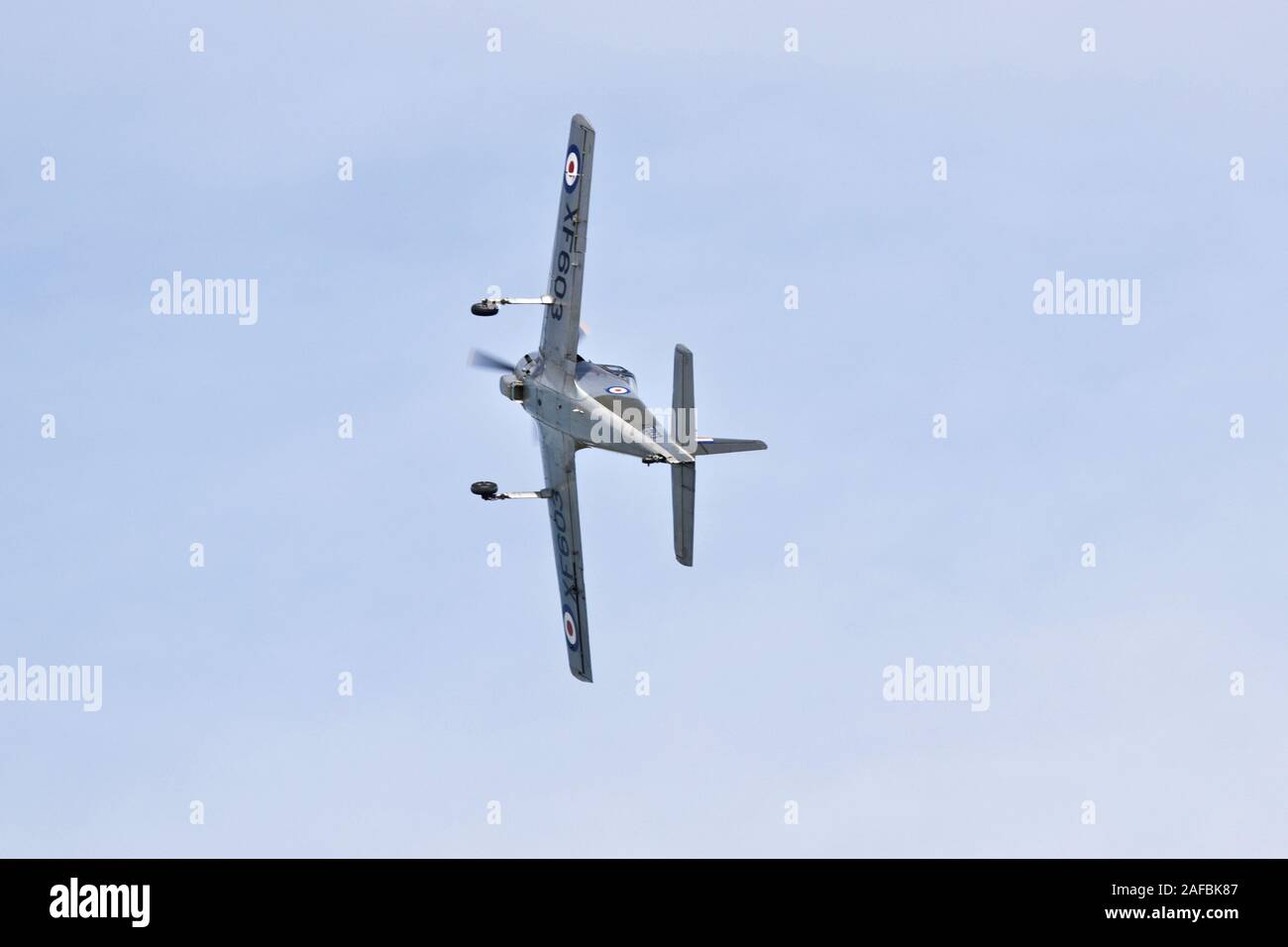 Percival Provost T.1 XF603 performing at the Shuttleworth Flying Festival on the 2nd June 2019 Stock Photo