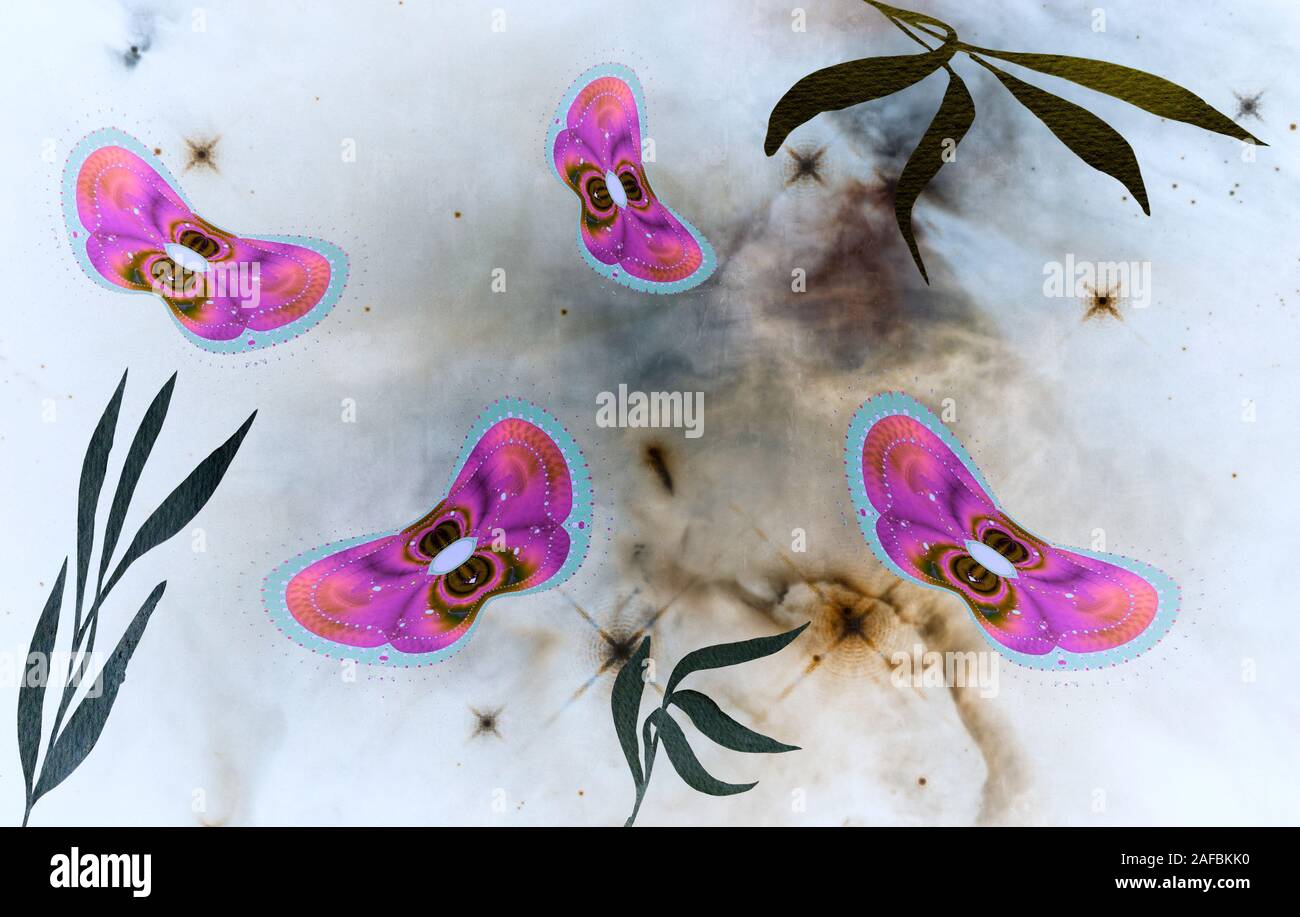 Abstract image of moths on a light background. Stock Photo