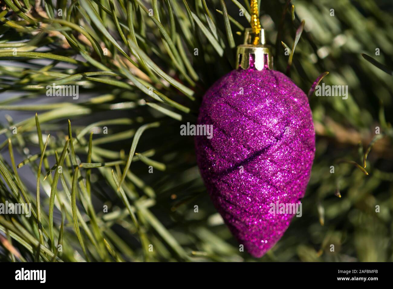 Christmas tree cone purple color on a decorated Christmas tree. Christmas backgroung Stock Photo