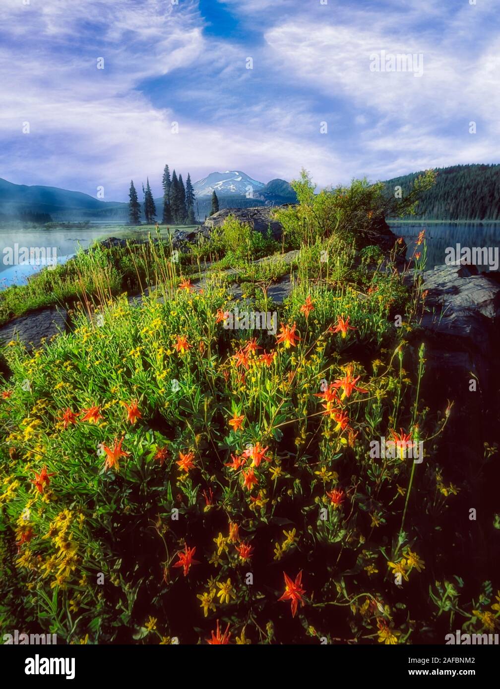 Sparks Lake, South sister Mountain and wildflowers Stock Photo