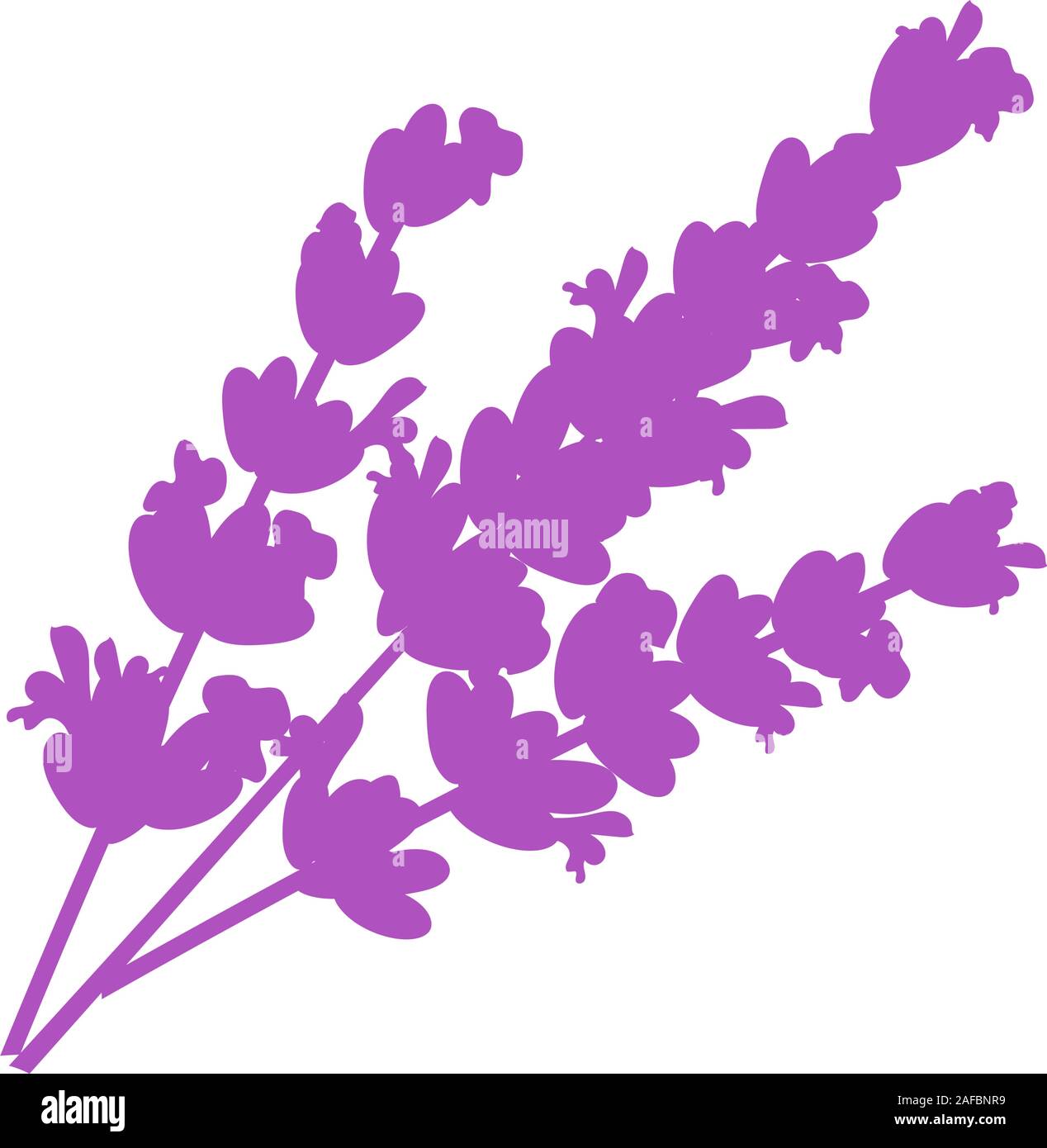 Lavender flower. Isolated lavender on white background illustration ...