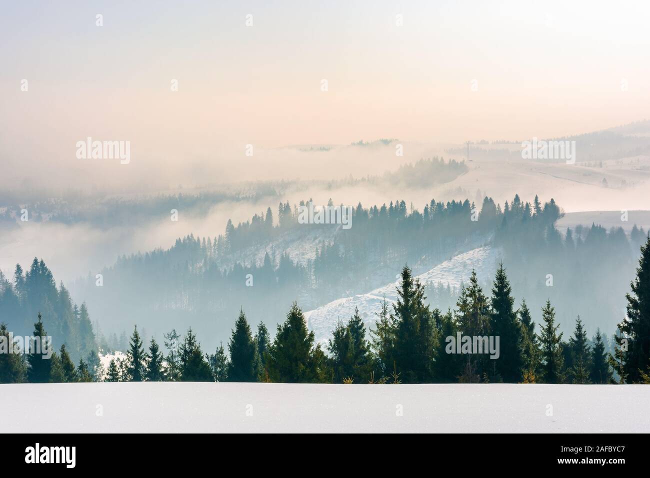 majestic countryside at sunrise in wintertime. spruce trees on snow covered slopes. clouds and fog rise above distant rolling hills. beautiful rural l Stock Photo
