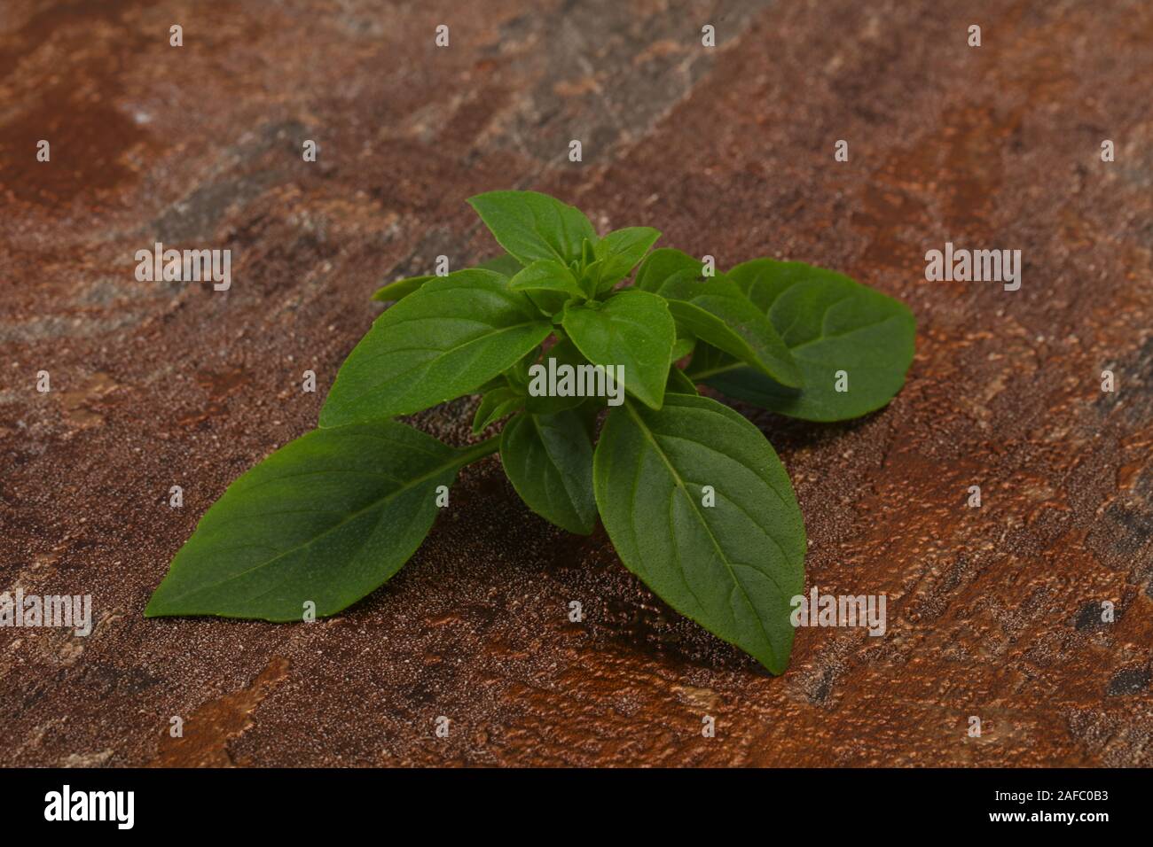 Fresh green Basil leaves herb for cooking Stock Photo Alamy