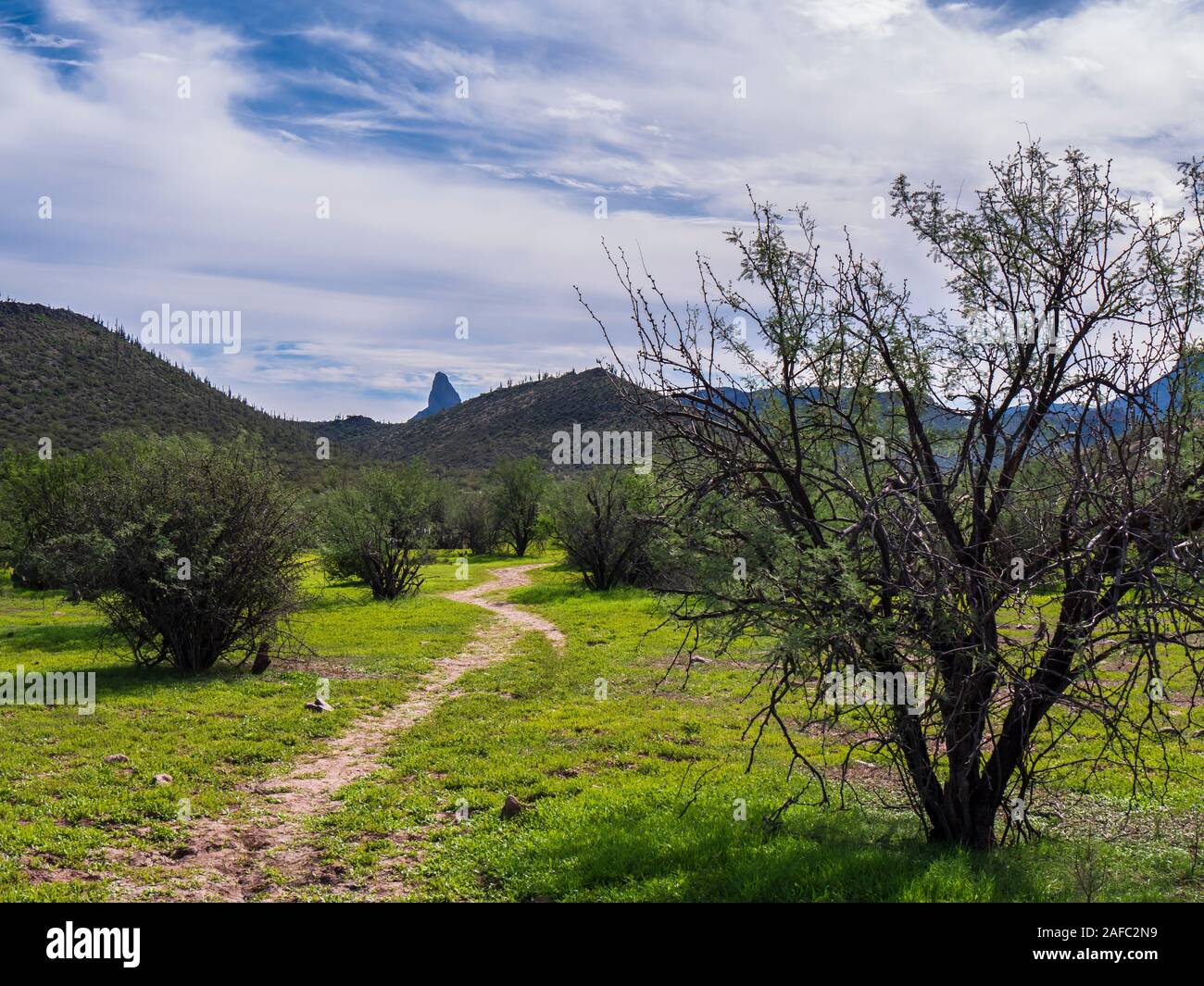 Hackberry springs trail hires stock photography and images Alamy