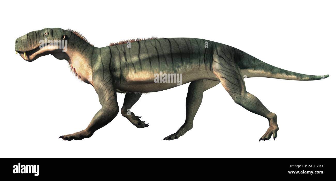 Gorgonops was a member of the Therapsids, an order that includes the ancestors of mammals. They existed before the dinosaurs and are extinct.  3D Rend Stock Photo