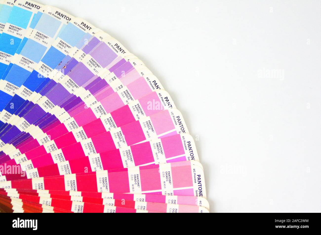 Color Palette Guide Isolated on White Background. Sample Colors Catalog