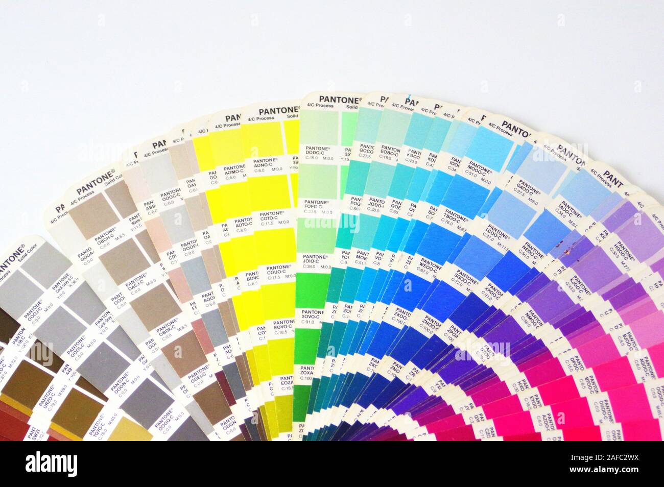 Color Palette Guide Isolated on White Background. Sample Colors Catalog