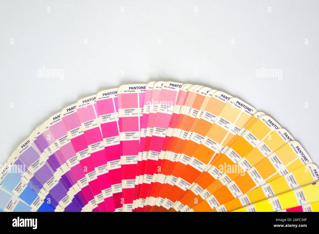 Color Palette Guide Isolated on White Background. Sample Colors Catalog