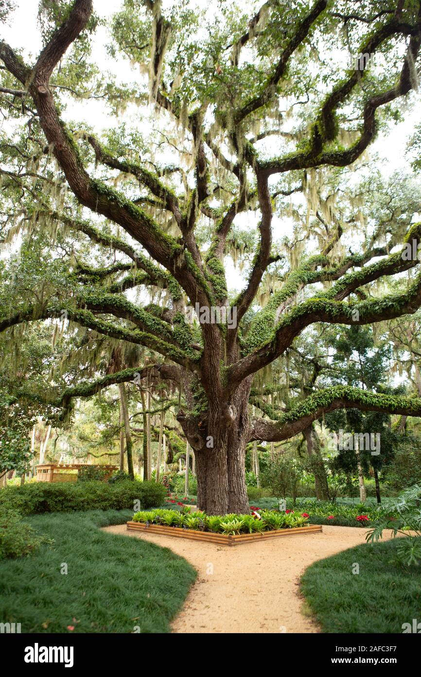 Washington Oaks Gardens State Park, Palm Coast, Florida, USA Stock