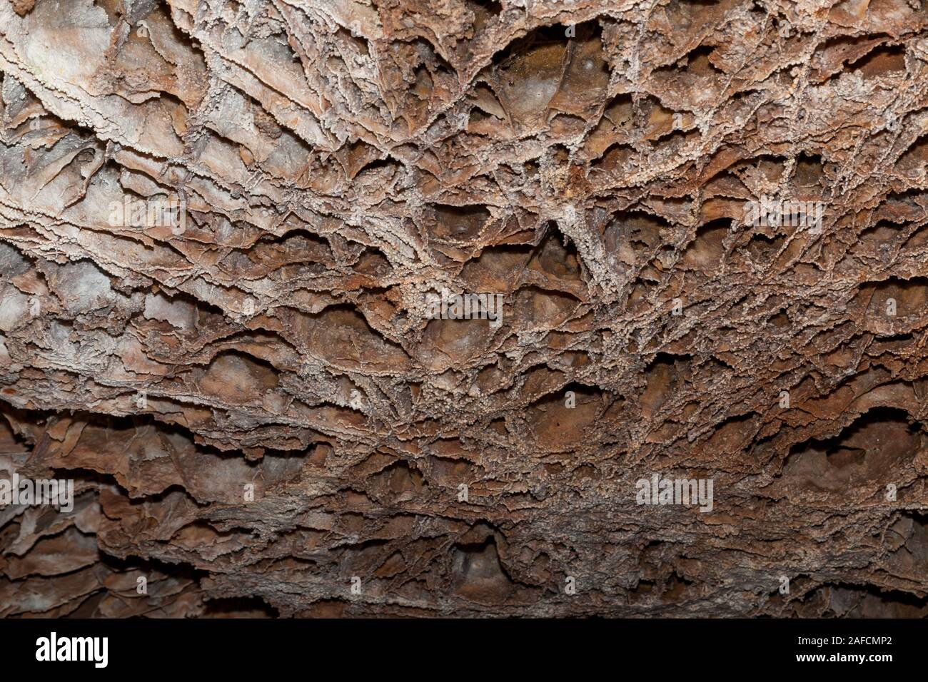 Detailed box work ceiling formations in brown and beige at Wind Cave National Park, South Dakota. Stock Photo